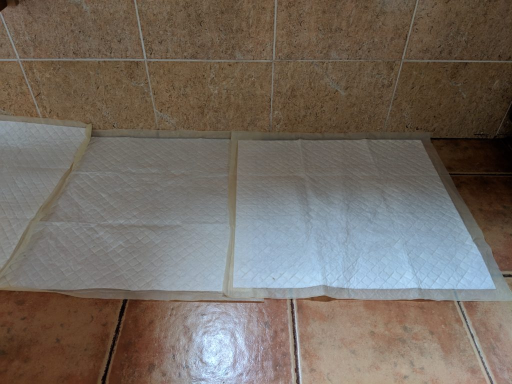 Puppy pads on the floor in the kitchen